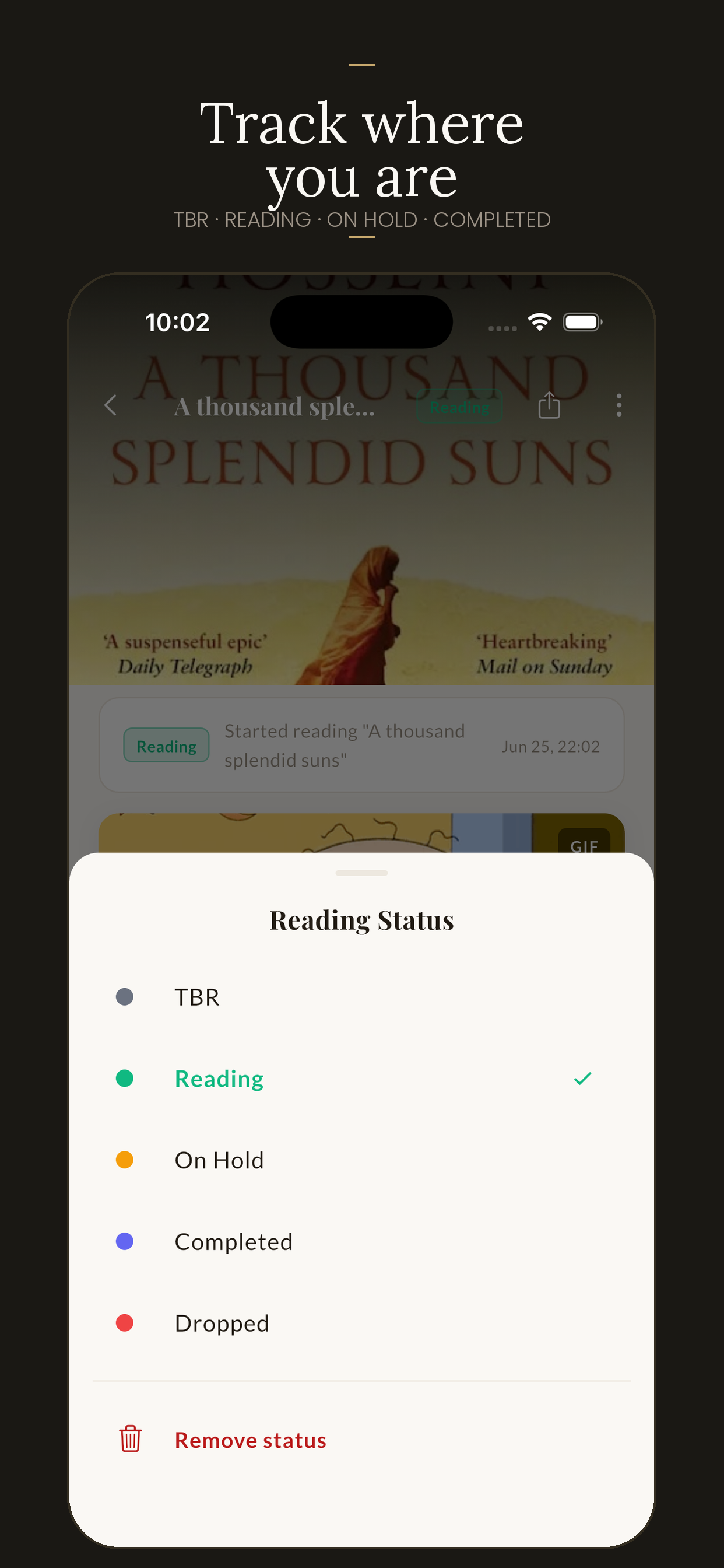 Track reading status: TBR, Reading, On Hold, Completed